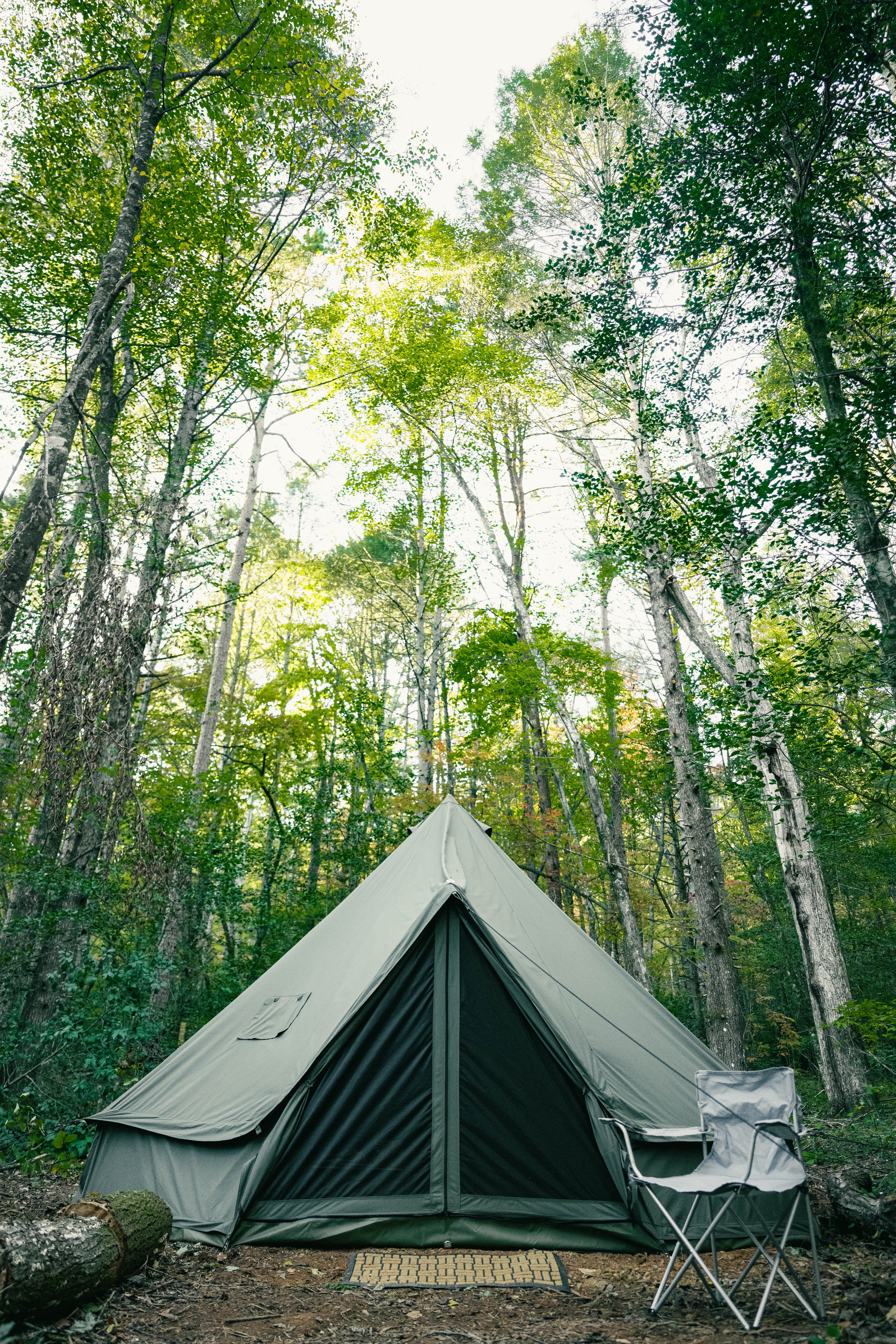 Spirit Glamping Tent at Wunderland Resort — bell tent in the forest